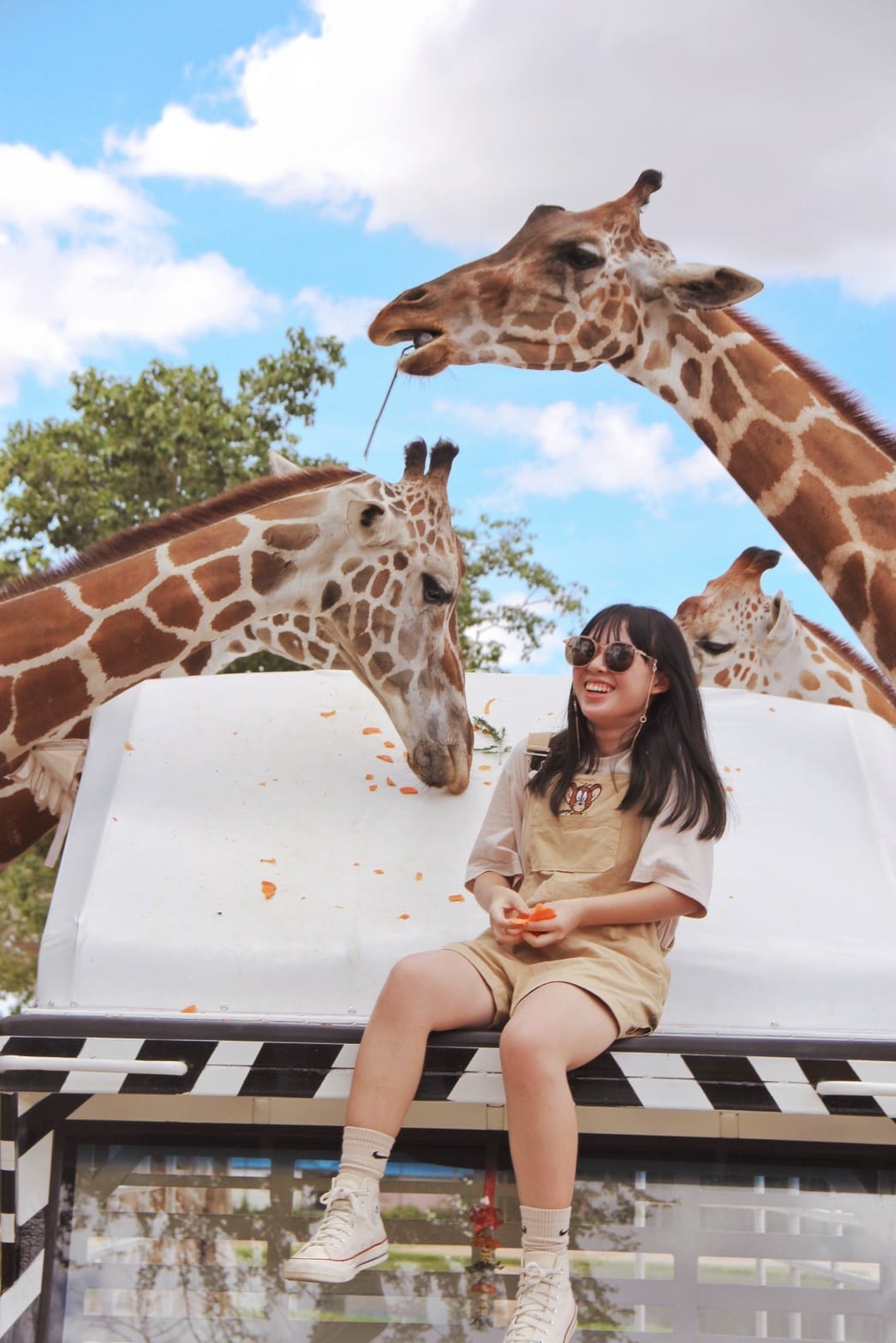 泰國北碧野生動物園包車Safari Park Kanchanaburi (112).jpg 泰國北碧野生動物園包車Safari Park Kanchanaburi (112).jpg