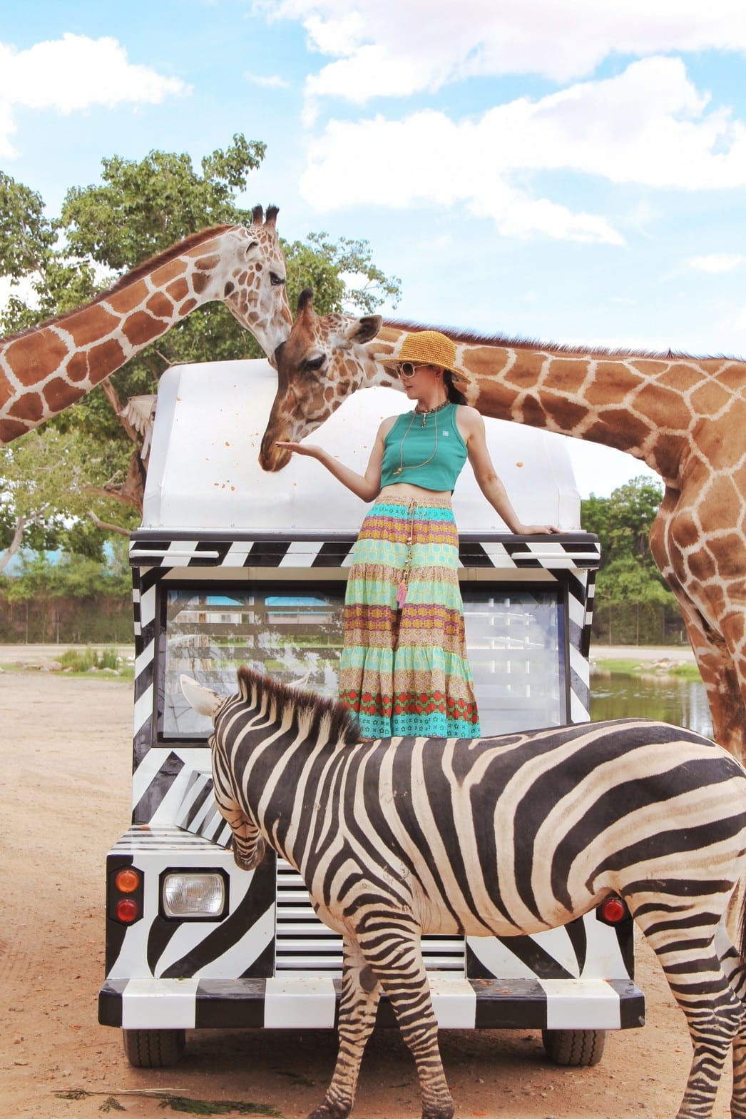 泰國北碧野生動物園包車Safari Park Kanchanaburi (82).jpg 泰國北碧野生動物園包車Safari Park Kanchanaburi (82).jpg