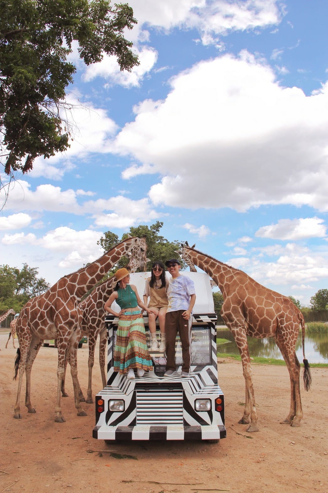 泰國北碧野生動物園包車Safari Park Kanchanaburi (129).jpg 泰國北碧野生動物園包車Safari Park Kanchanaburi (129).jpg