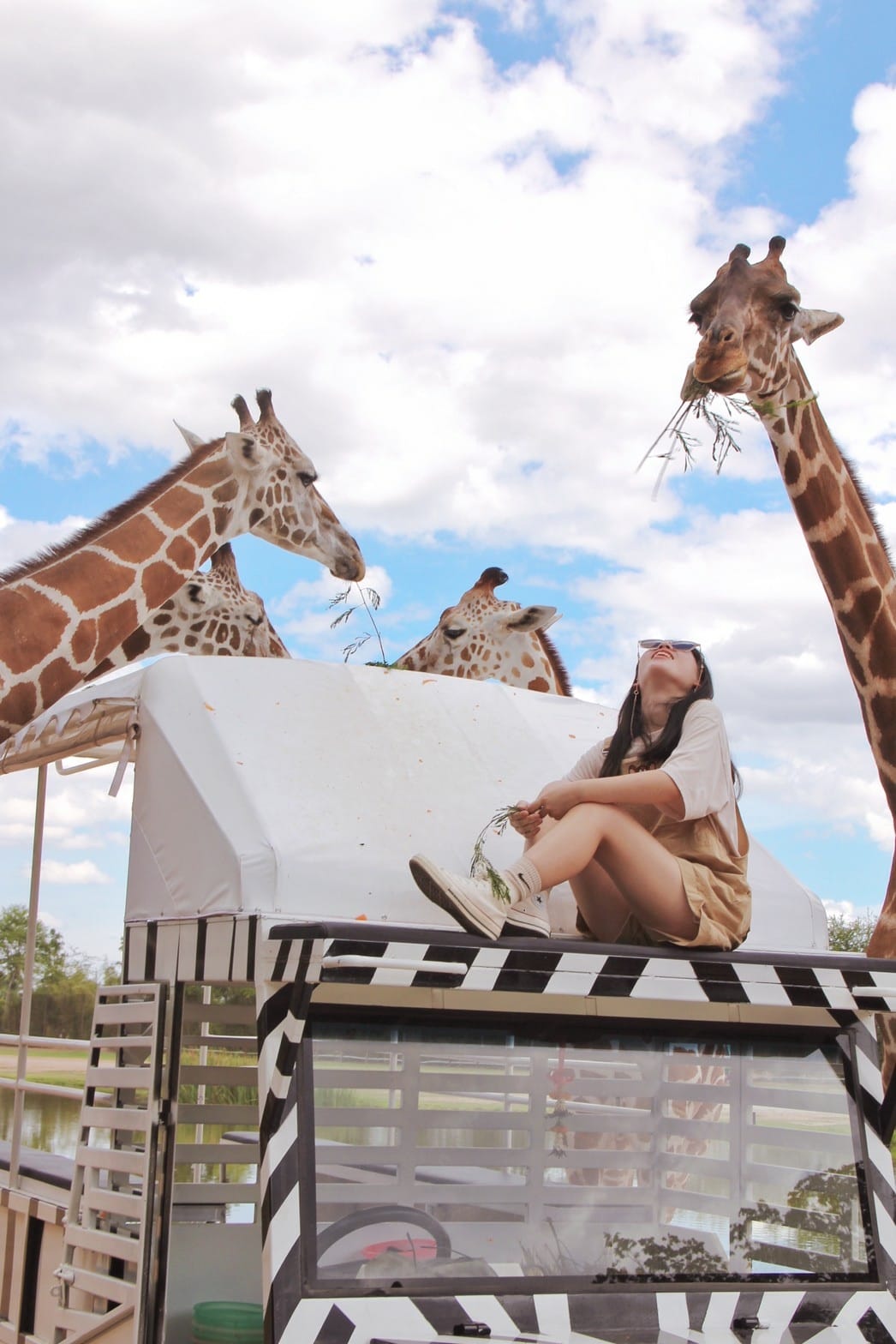 泰國北碧野生動物園包車Safari Park Kanchanaburi (101).jpg 泰國北碧野生動物園包車Safari Park Kanchanaburi (101).jpg