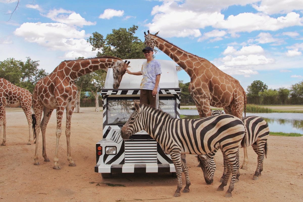 泰國北碧野生動物園包車Safari Park Kanchanaburi (54).jpg 泰國北碧野生動物園包車Safari Park Kanchanaburi (54).jpg