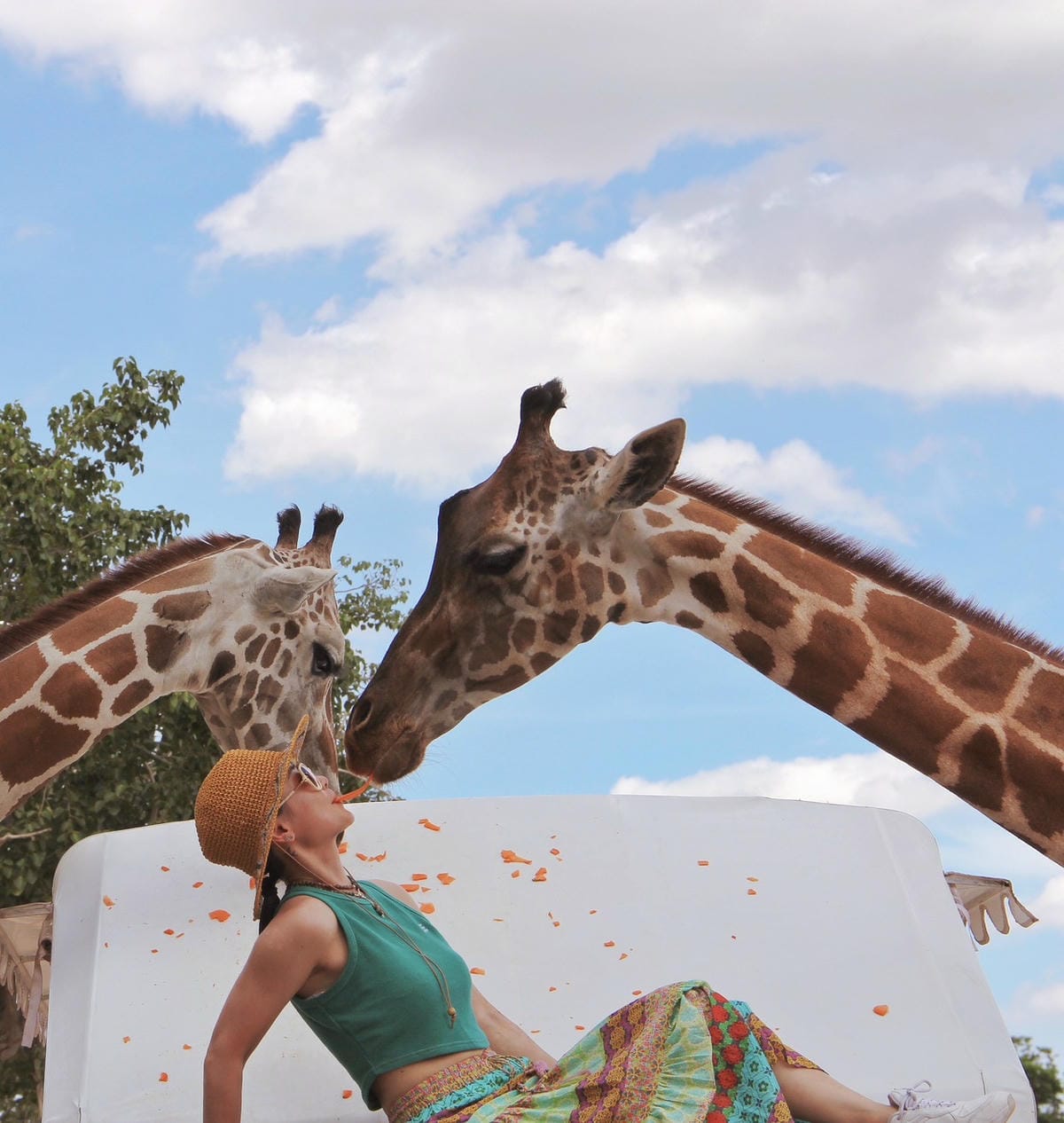 泰國北碧野生動物園包車Safari Park Kanchanaburi (73).jpg 泰國北碧野生動物園包車Safari Park Kanchanaburi (73).jpg