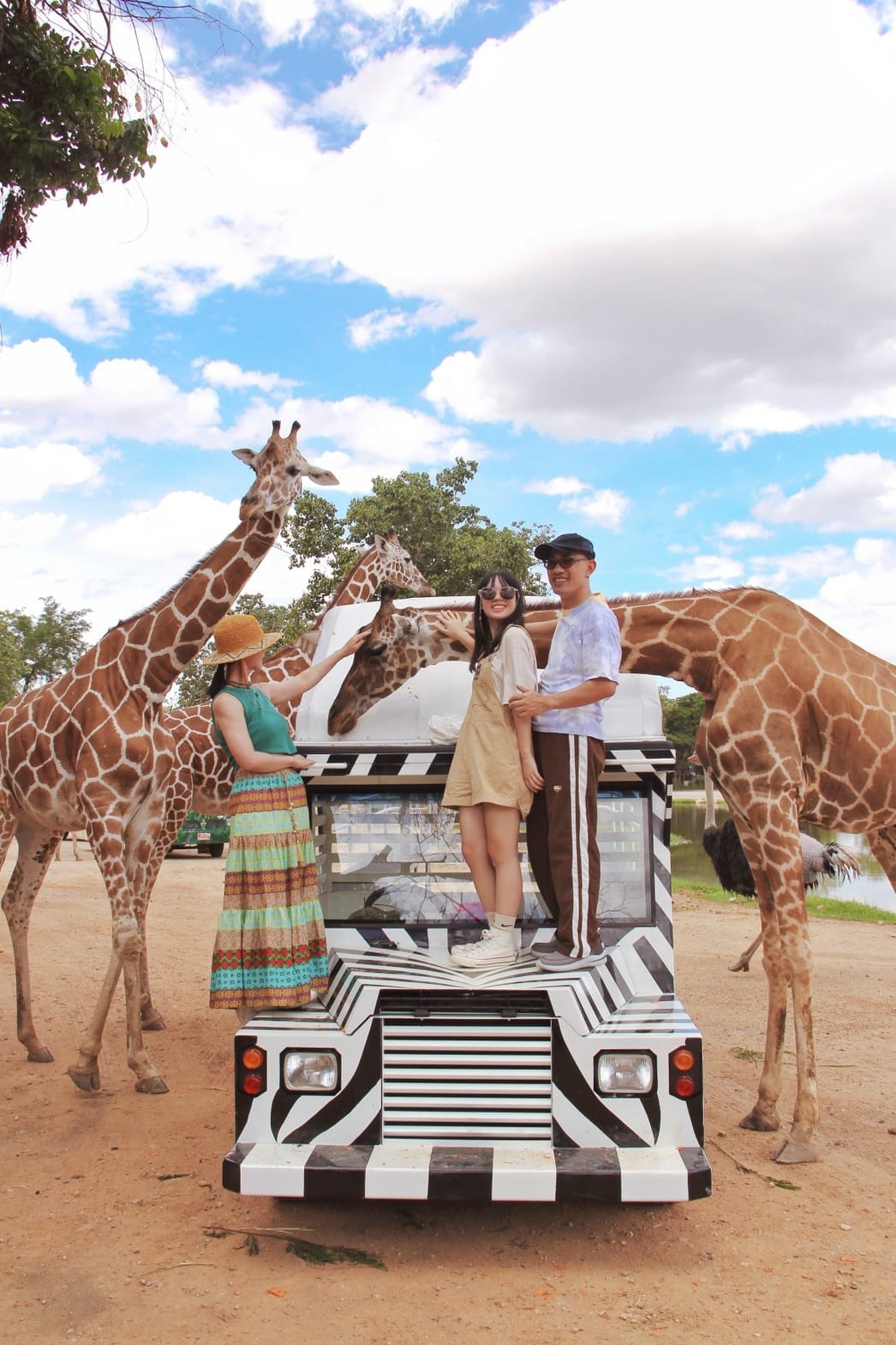 泰國北碧野生動物園包車Safari Park Kanchanaburi (130).jpg 泰國北碧野生動物園包車Safari Park Kanchanaburi (130).jpg