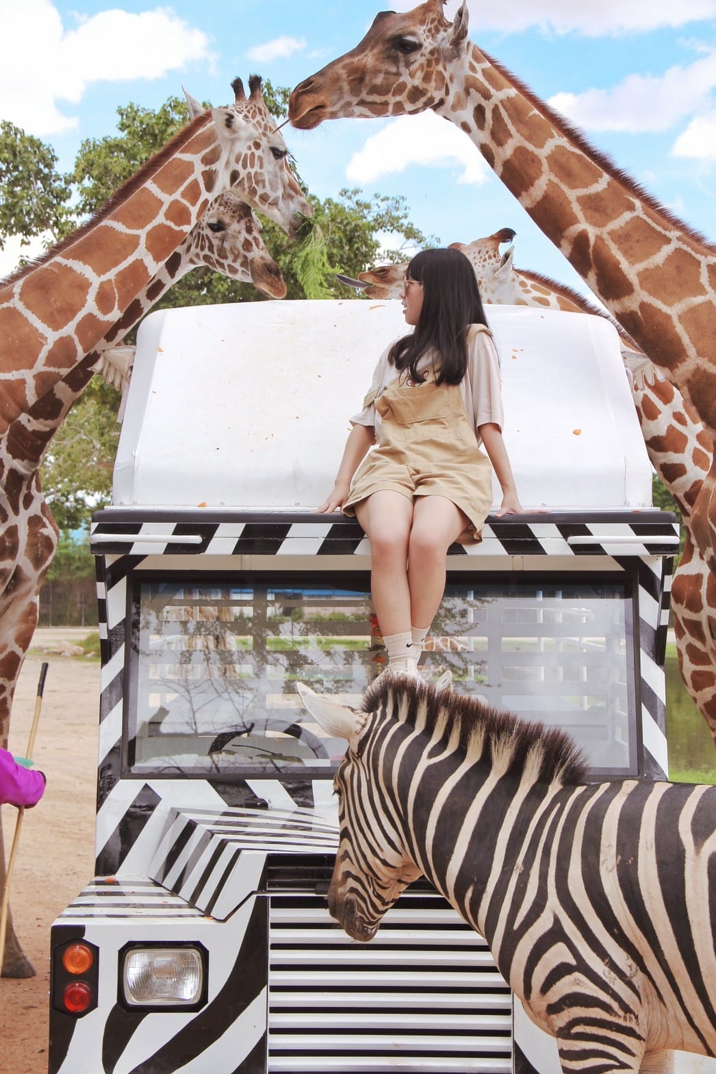 泰國北碧野生動物園包車Safari Park Kanchanaburi (95).jpg 泰國北碧野生動物園包車Safari Park Kanchanaburi (95).jpg