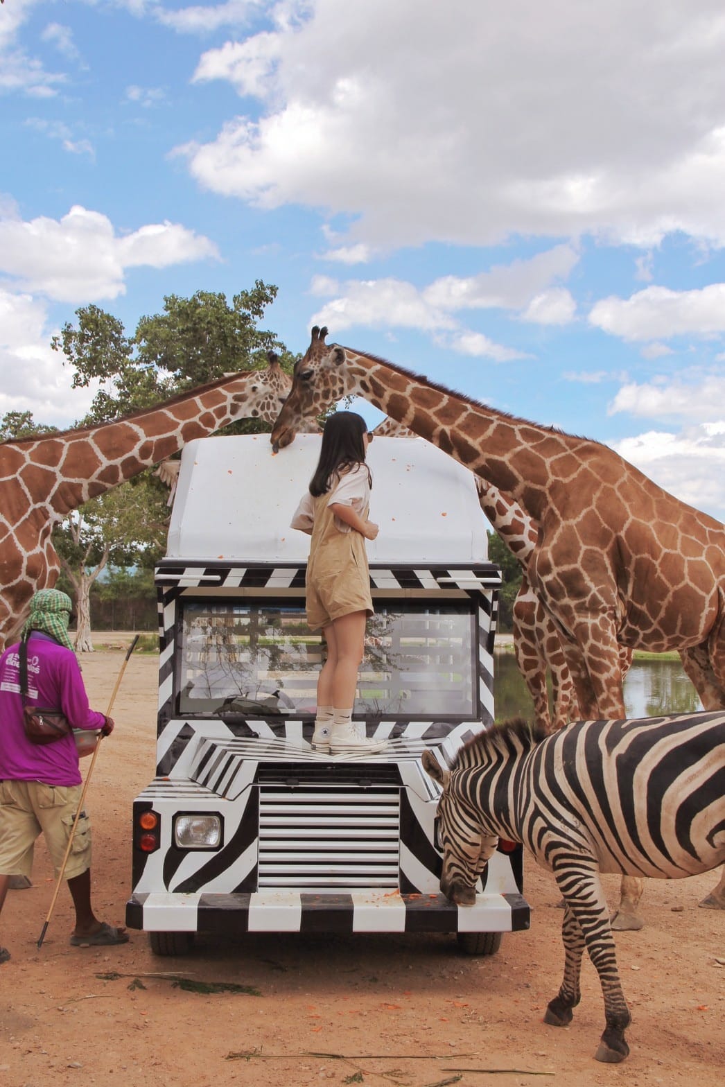 泰國北碧野生動物園包車Safari Park Kanchanaburi (88).jpg 泰國北碧野生動物園包車Safari Park Kanchanaburi (88).jpg