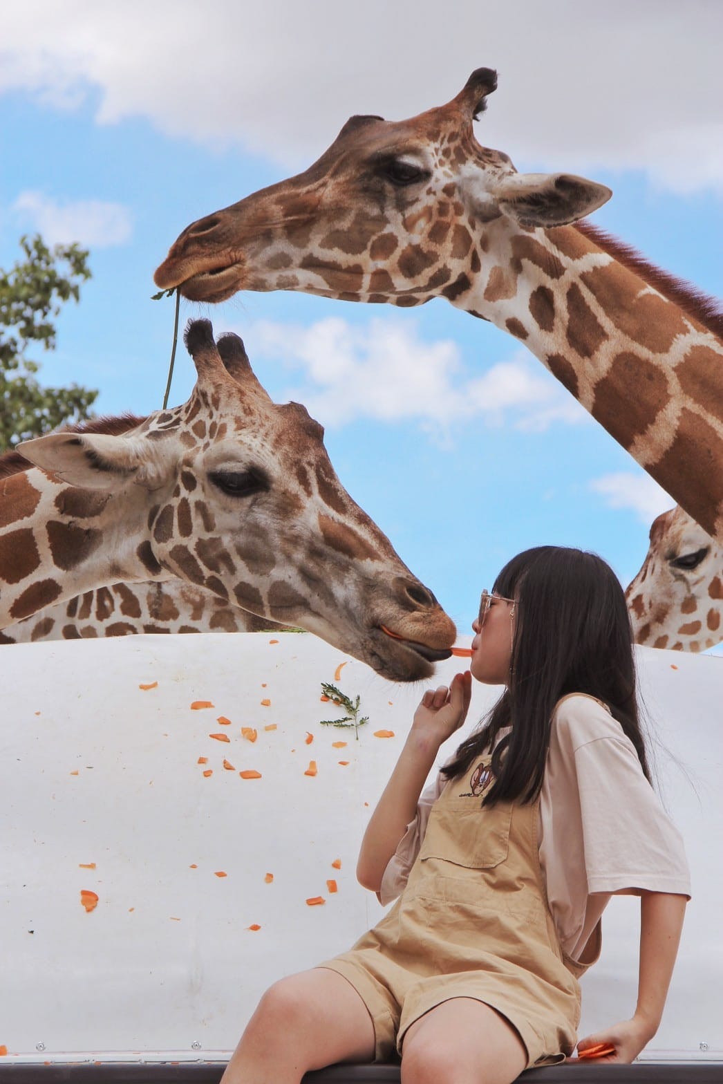 泰國北碧野生動物園包車Safari Park Kanchanaburi (111).jpg 泰國北碧野生動物園包車Safari Park Kanchanaburi (111).jpg