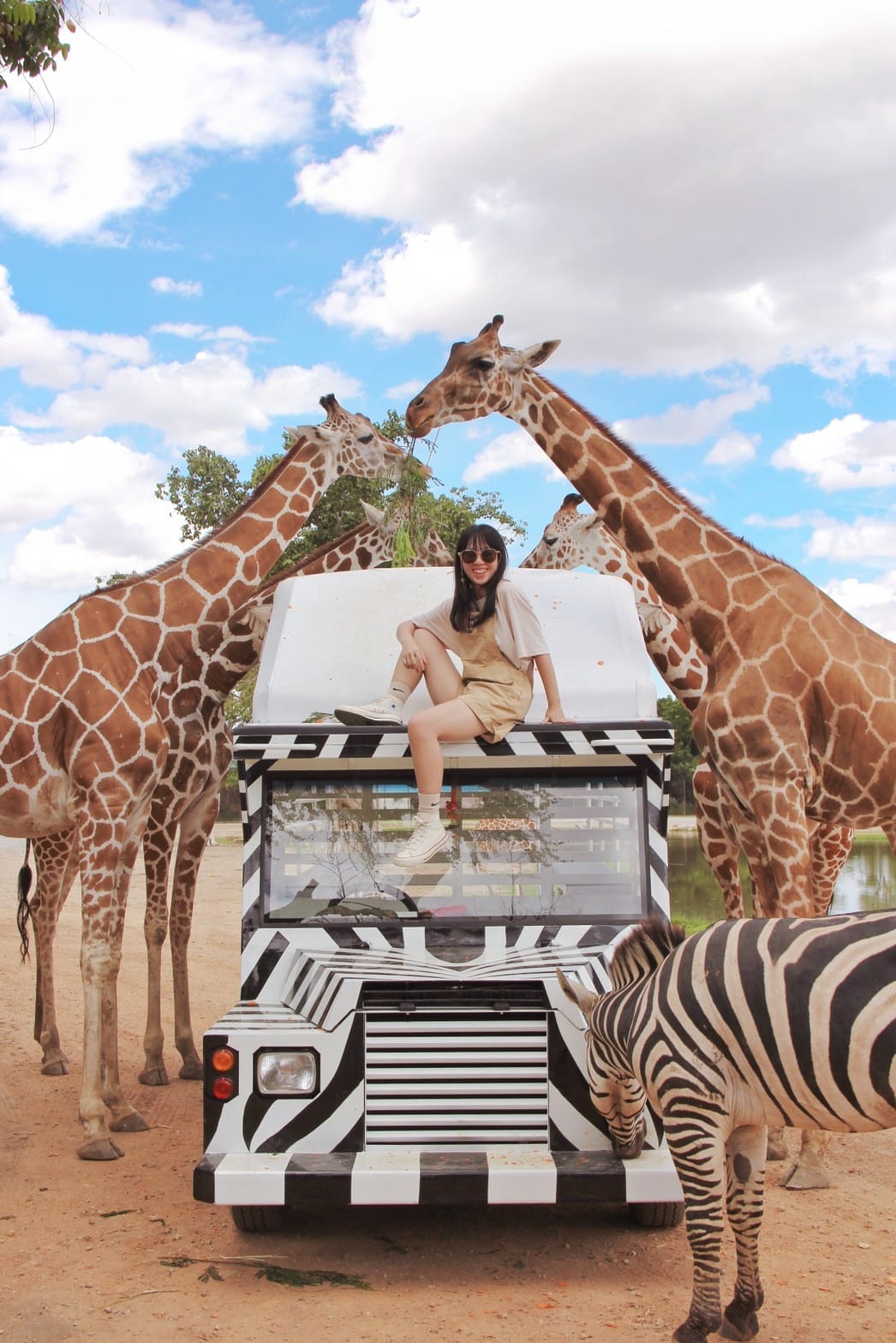泰國北碧野生動物園包車Safari Park Kanchanaburi (98).jpg 泰國北碧野生動物園包車Safari Park Kanchanaburi (98).jpg