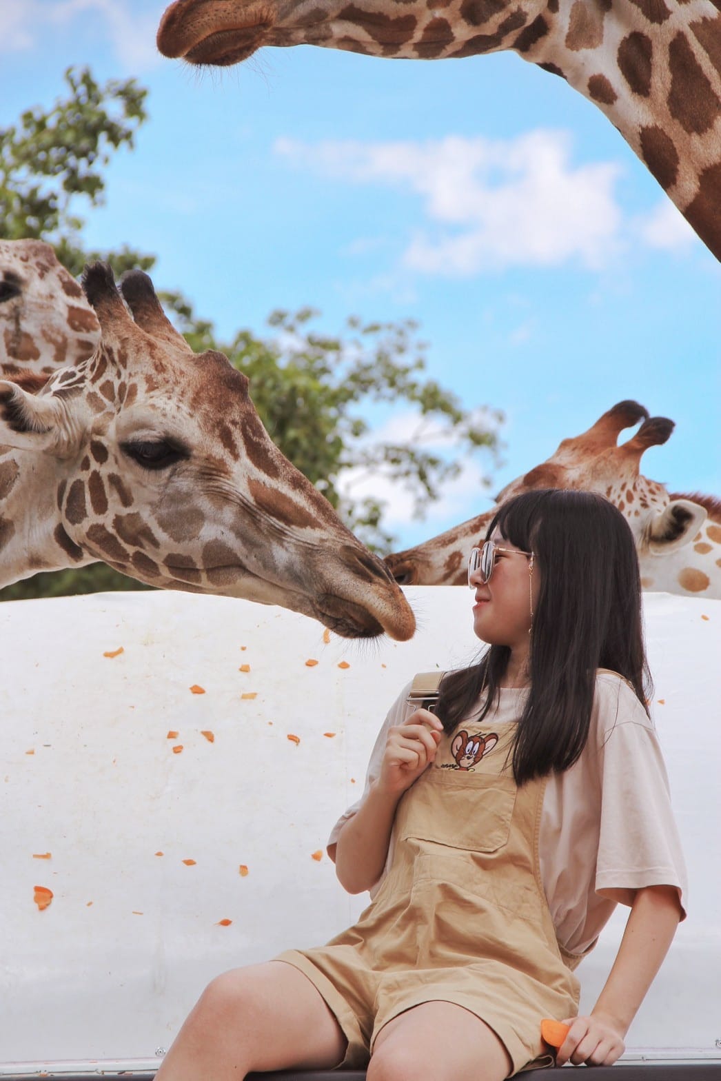 泰國北碧野生動物園包車Safari Park Kanchanaburi (118).jpg 泰國北碧野生動物園包車Safari Park Kanchanaburi (118).jpg