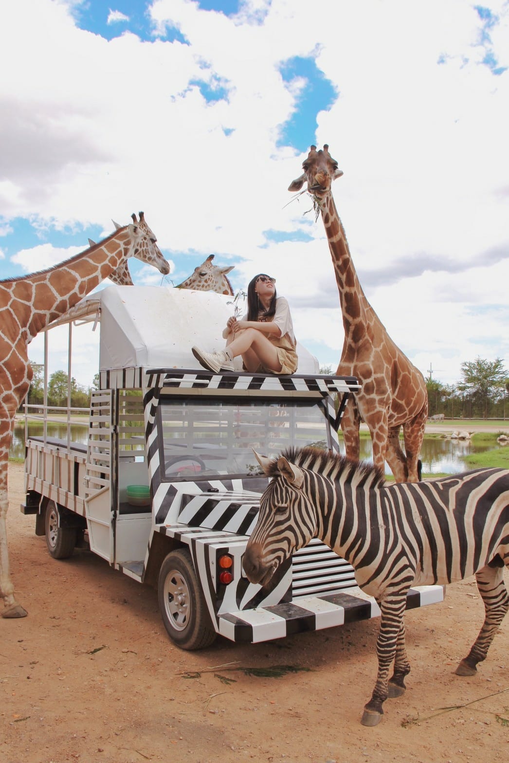 泰國北碧野生動物園包車Safari Park Kanchanaburi (102).jpg 泰國北碧野生動物園包車Safari Park Kanchanaburi (102).jpg