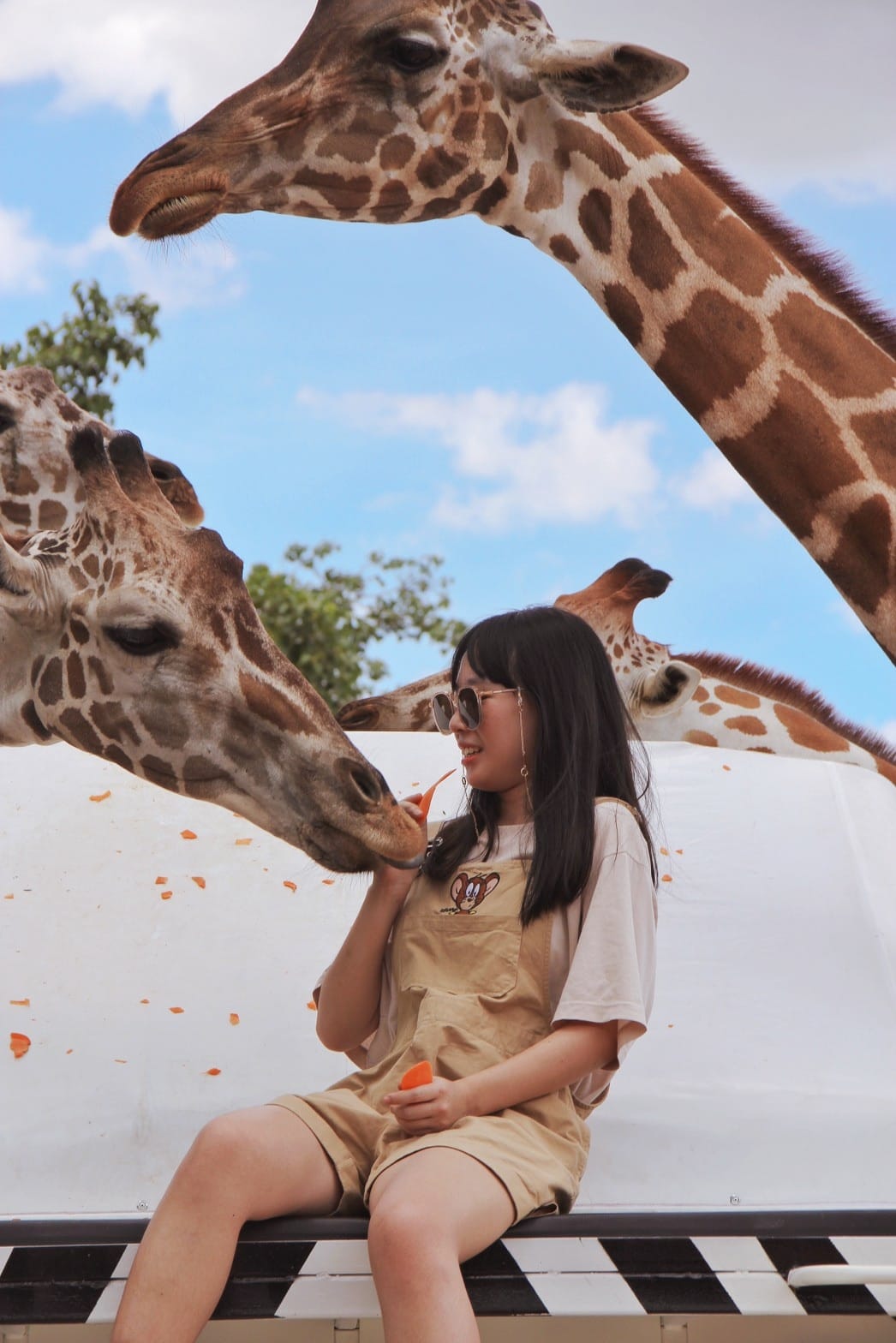 泰國北碧野生動物園包車Safari Park Kanchanaburi (119).jpg 泰國北碧野生動物園包車Safari Park Kanchanaburi (119).jpg