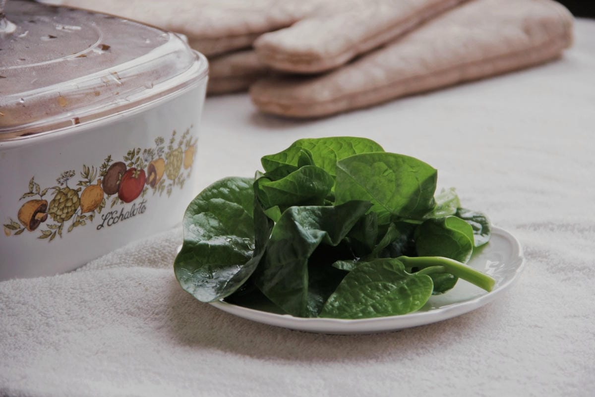 【宅配美食推薦】踏輕Touchin、沙勞越胡椒鴨、蝦黃厚薑母鴨 (4).jpg 【宅配美食推薦】踏輕Touchin、沙勞越胡椒鴨、蝦黃厚薑母鴨 (4).jpg