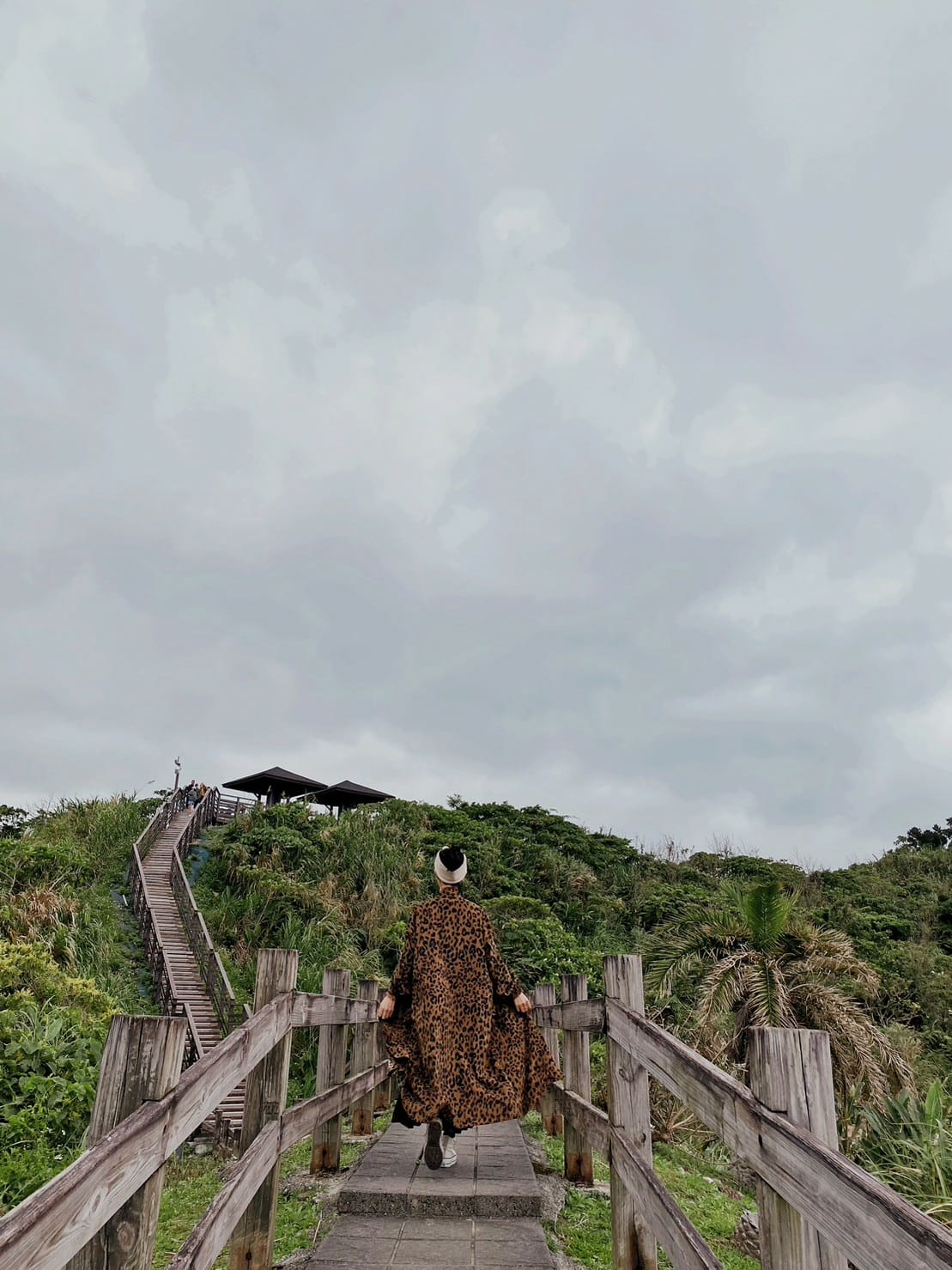 oa7865eee6b8fab7676d390db15171e78_4900147932635649379_230817_13.jpg 大石鼻山步道|龜庵山步道花蓮景點