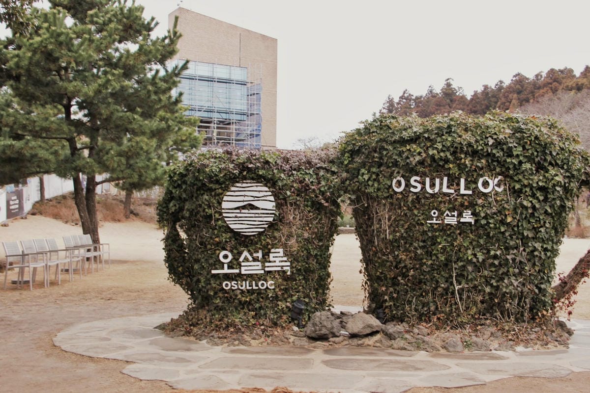 osulloc茶博物館濟州島雪綠茶博物館28.jpg 济州Osulloc茶叶博物馆