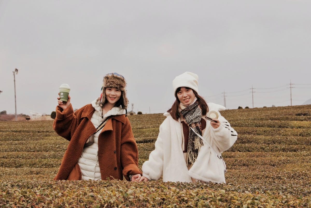osulloc茶博物館濟州島雪綠茶博物館36.jpg osulloc茶博物館濟州島雪綠茶博物館36.jpg