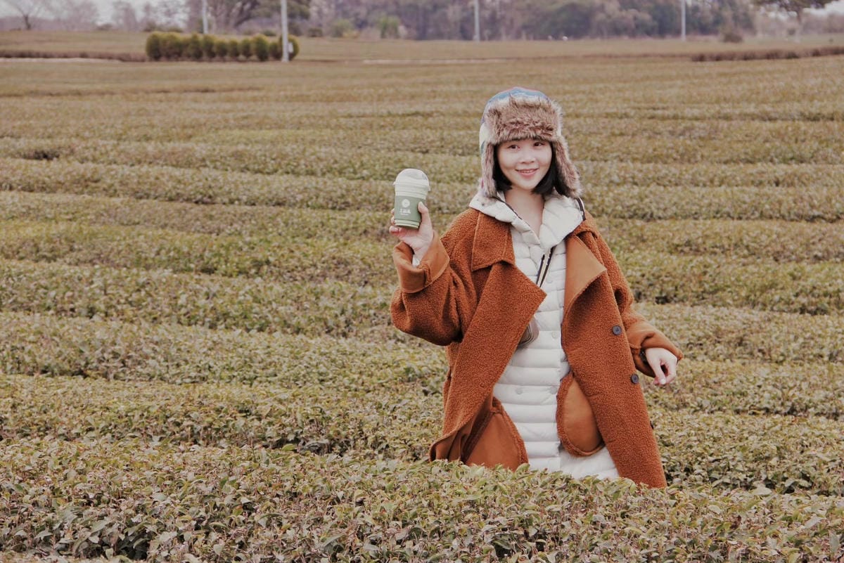 osulloc茶博物館濟州島雪綠茶博物館34.jpg osulloc茶博物館濟州島雪綠茶博物館34.jpg