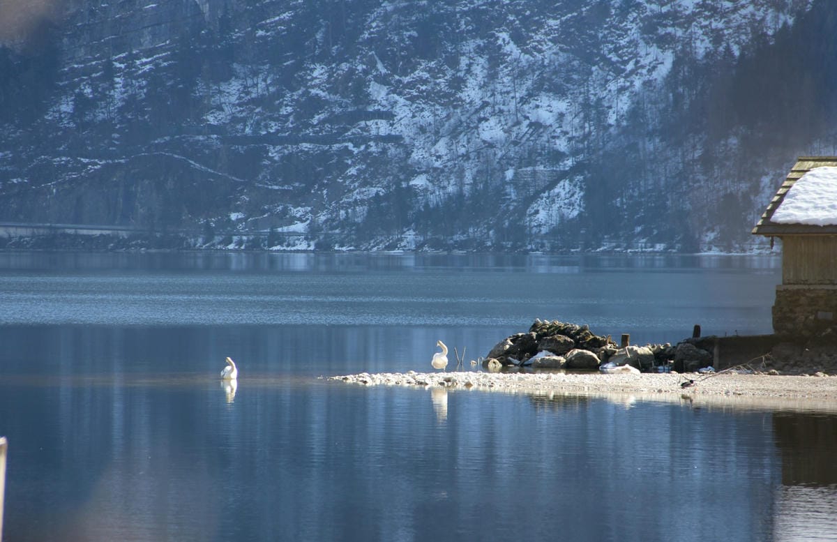 奧地利哈爾施塔特世界文化遺產夢幻小鎮HALLSTATTER53.jpg