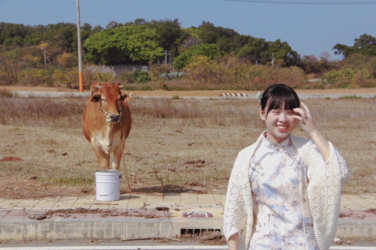 金門黃牛牛肉麵13.jpg 金門黃牛牛肉麵13.jpg