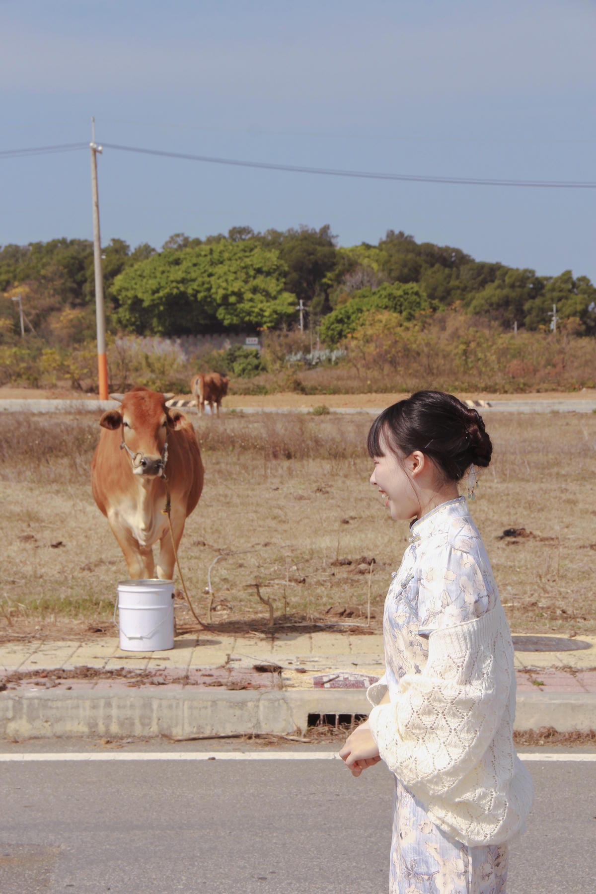 金門黃牛牛肉麵11.jpg 金門黃牛牛肉麵11.jpg