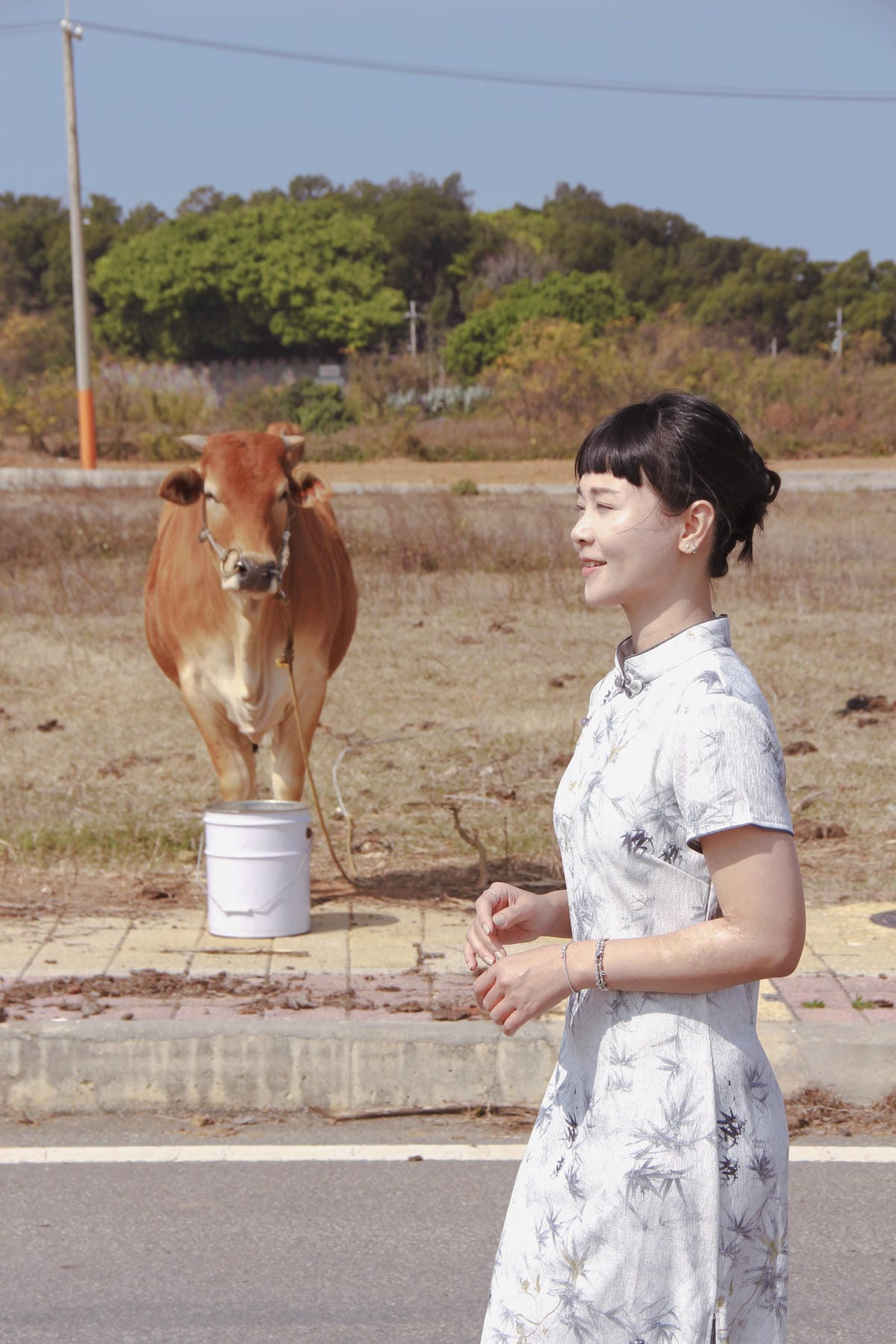 金門黃牛牛肉麵8.jpg 金門黃牛牛肉麵8.jpg