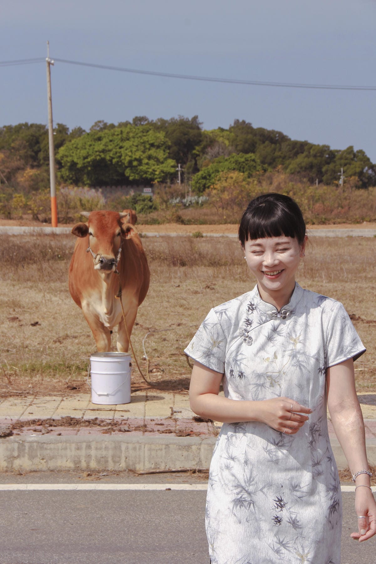 金門黃牛牛肉麵6.jpg 金門黃牛牛肉麵6.jpg