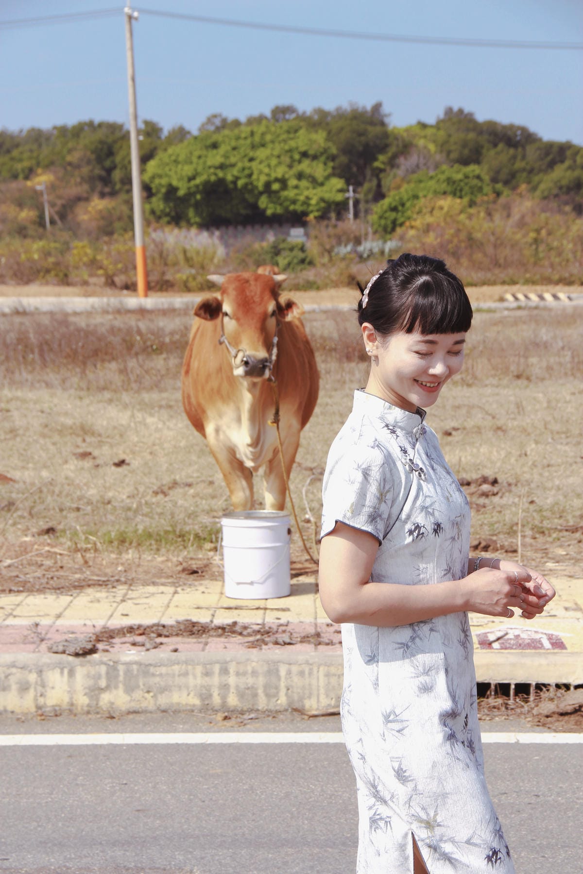 金門黃牛牛肉麵9.jpg 金門黃牛牛肉麵9.jpg