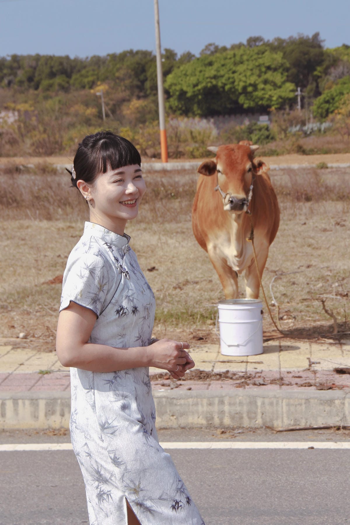 金門黃牛牛肉麵10.jpg 金門黃牛牛肉麵10.jpg