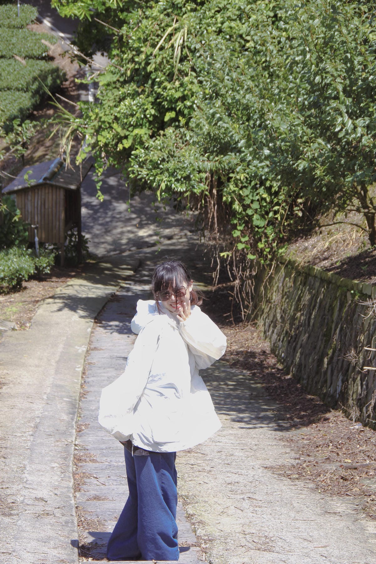 別只去阿里山嘉義梅山６大祕境最美茶園步道