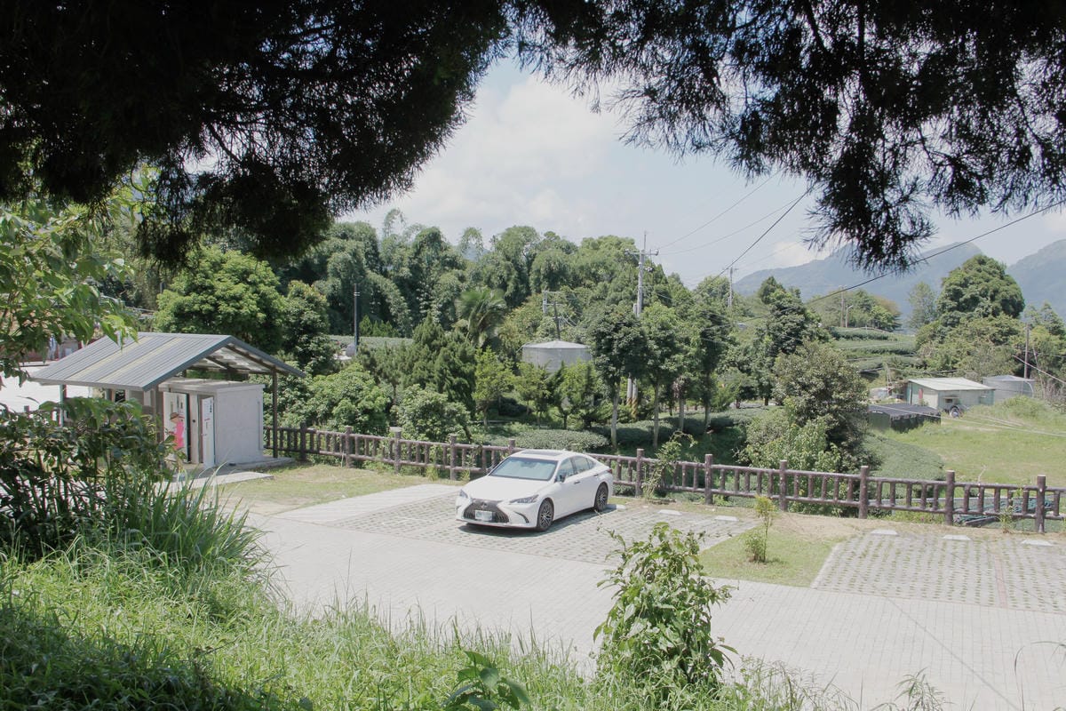 1314觀景台停車梅山茶園71.jpg
