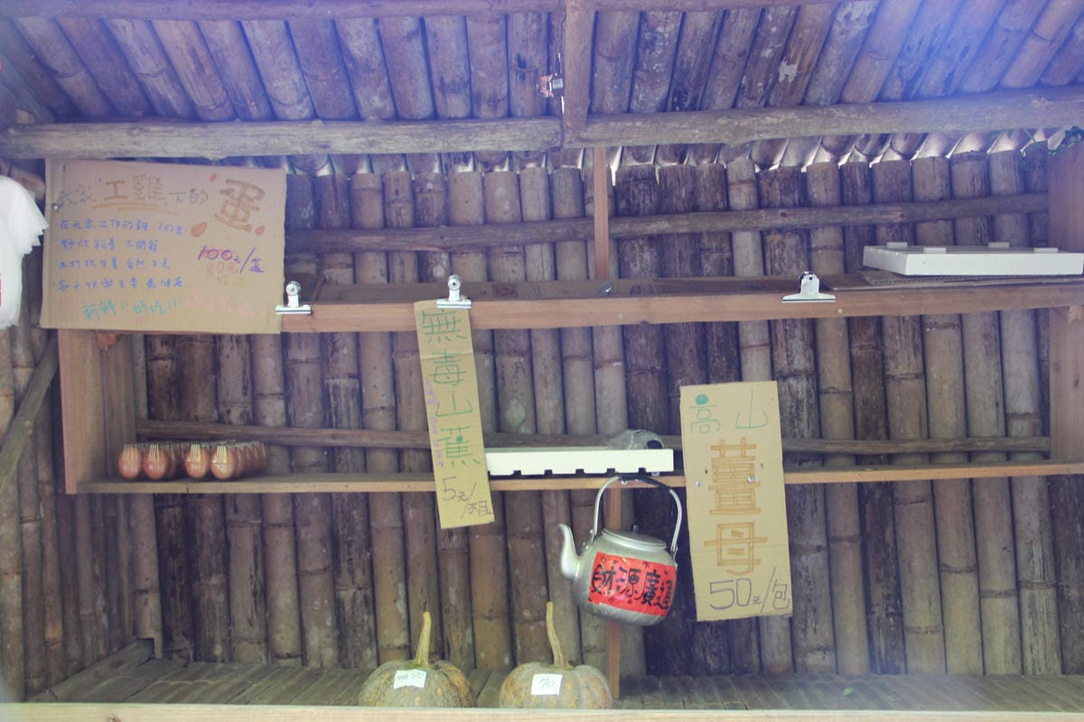 1314觀景台停車梅山茶園66.jpg