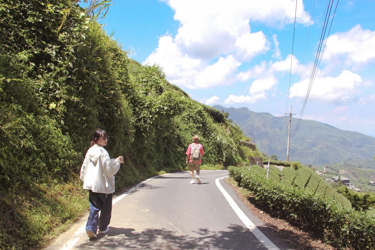 1314觀景台停車梅山茶園67.jpg