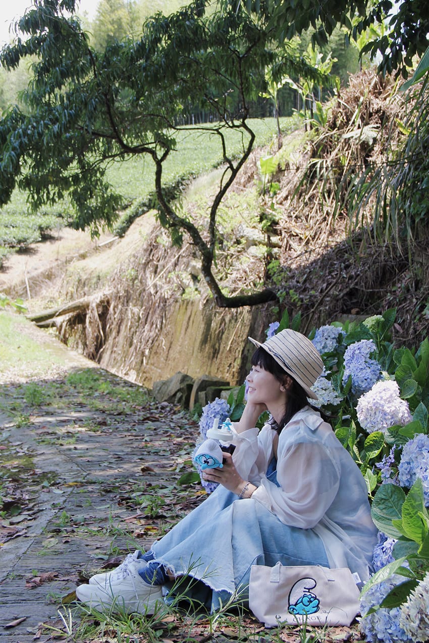 許家茶園 許家茶園民宿露營茶聚香片藍色小精靈