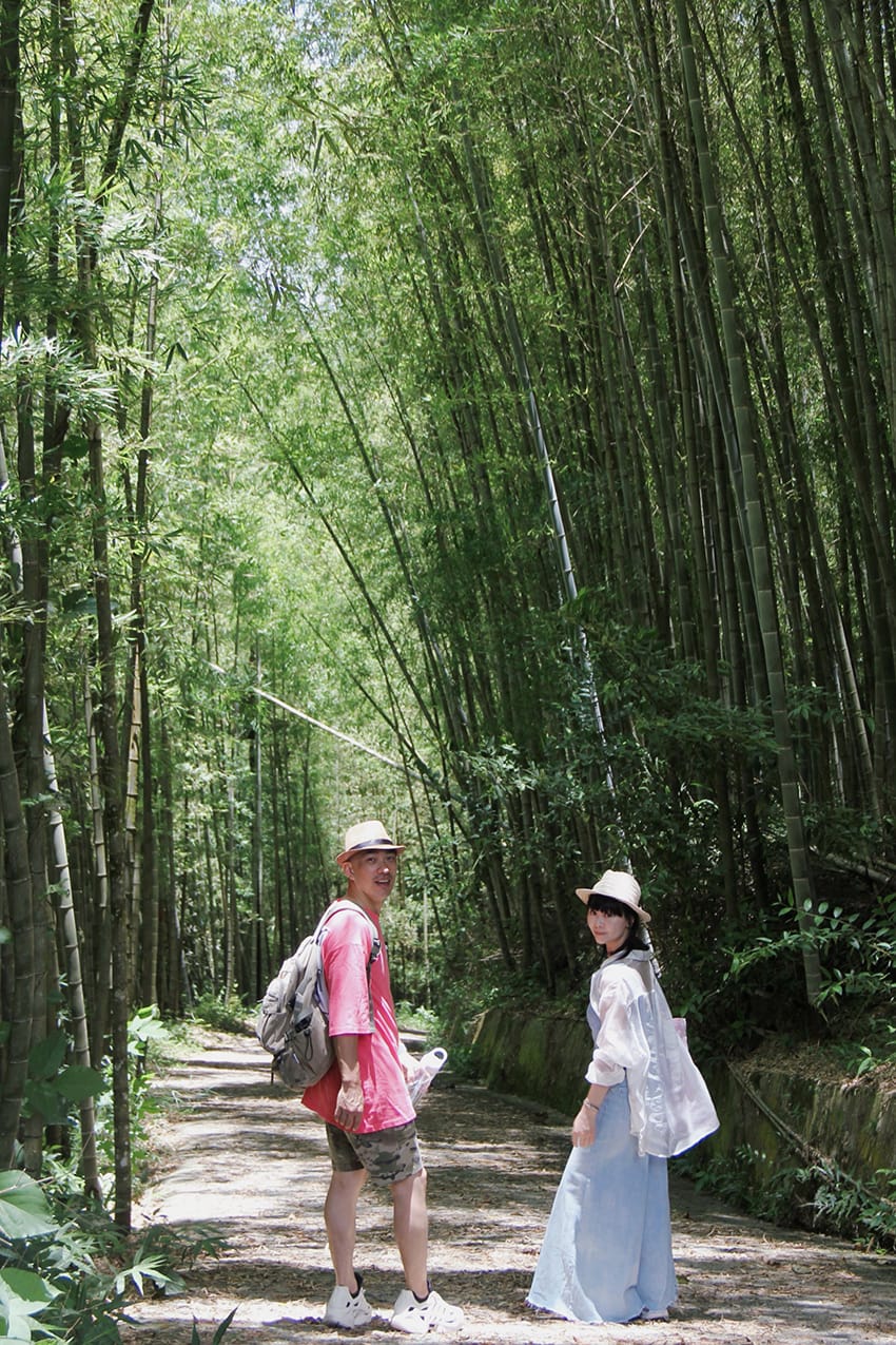 許家茶園 梅山綠色隧道