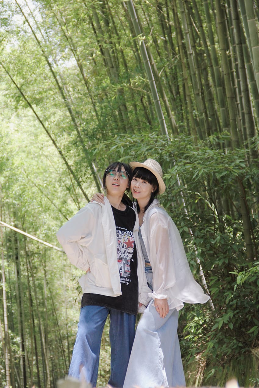 許家茶園 梅山綠色隧道