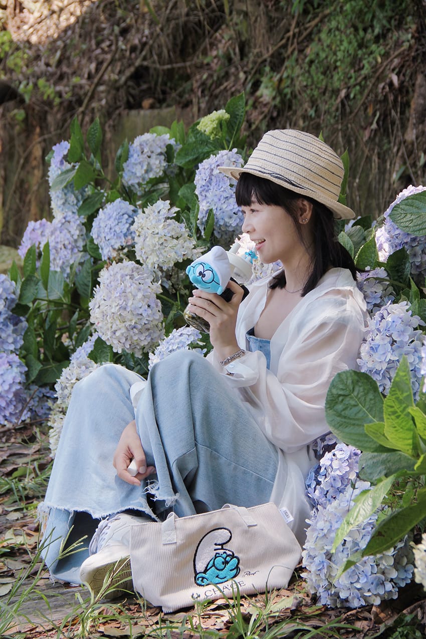許家茶園 許家茶園民宿露營茶聚香片藍色小精靈