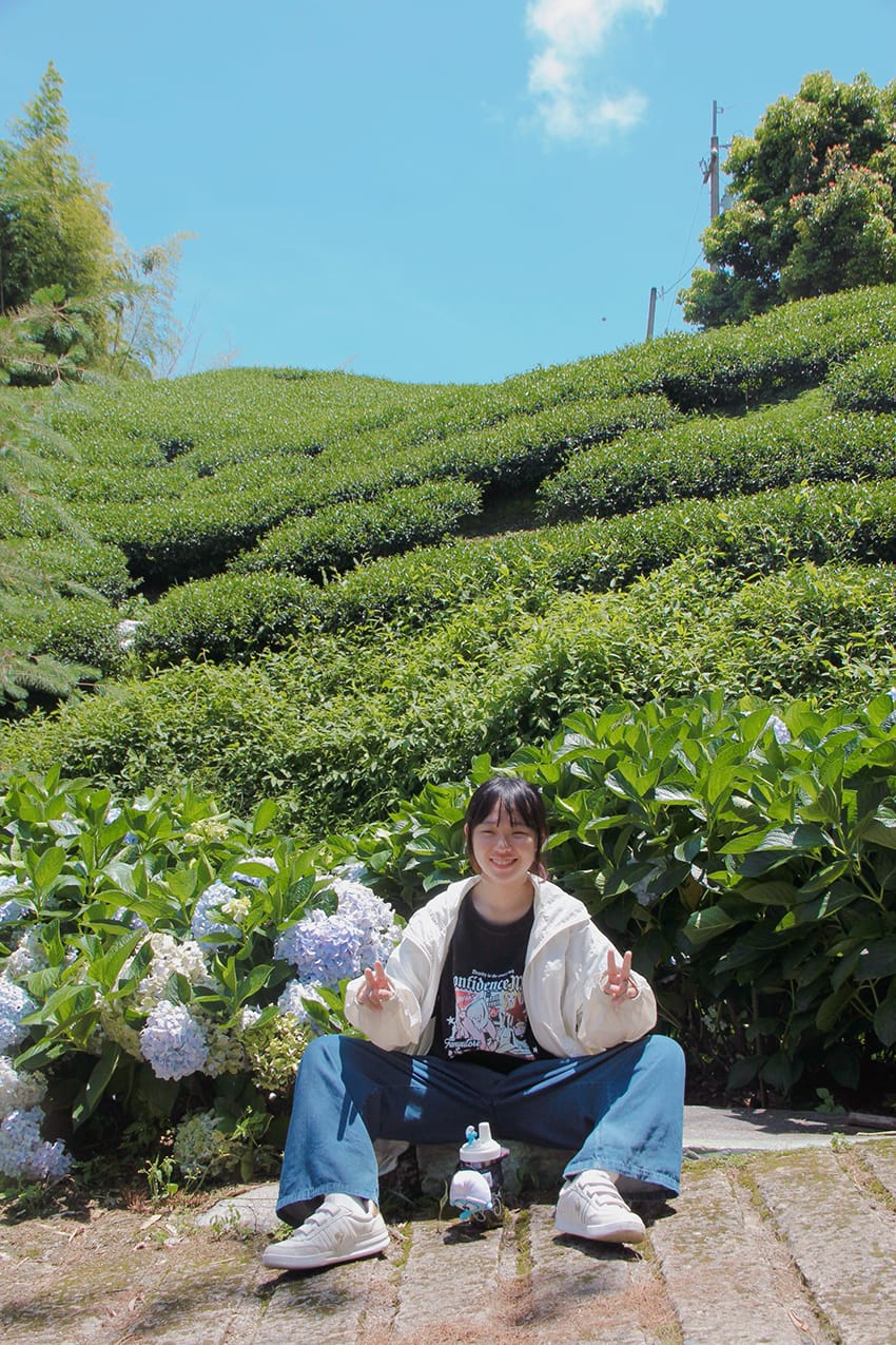 許家茶園 許家茶園民宿露營茶聚香片藍色小精靈
