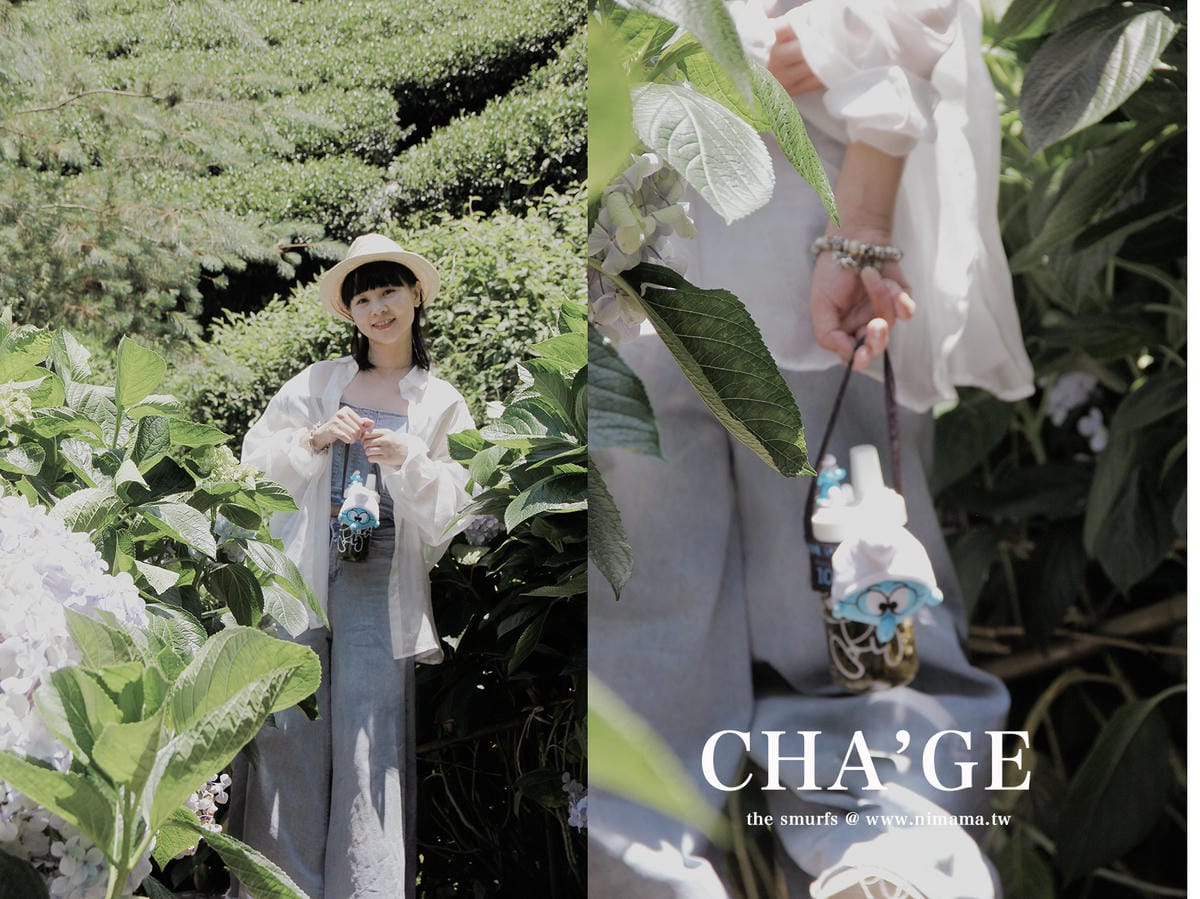 許家茶園 許家茶園民宿露營茶聚香片藍色小精靈
