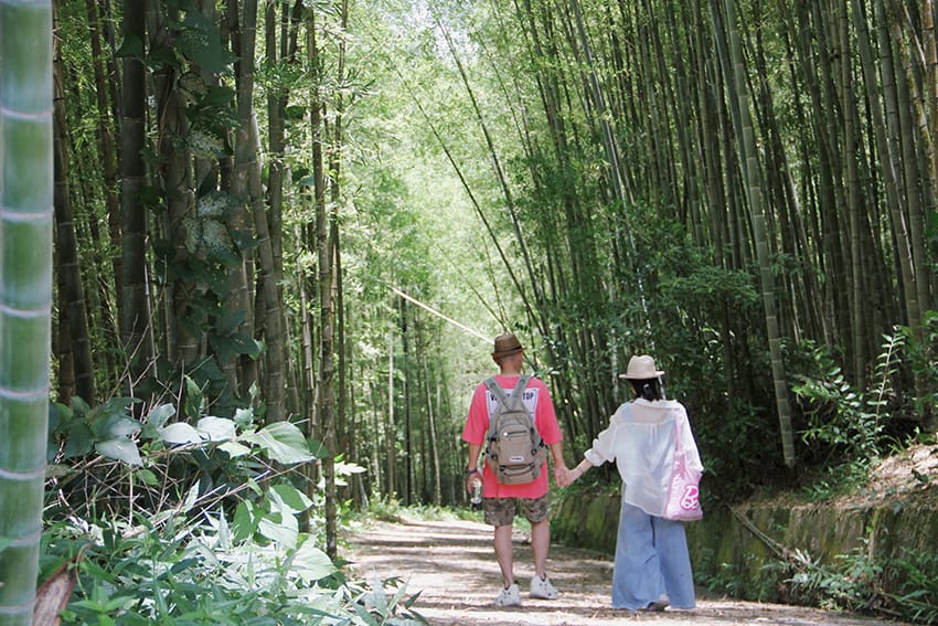 許家茶園 許家茶園