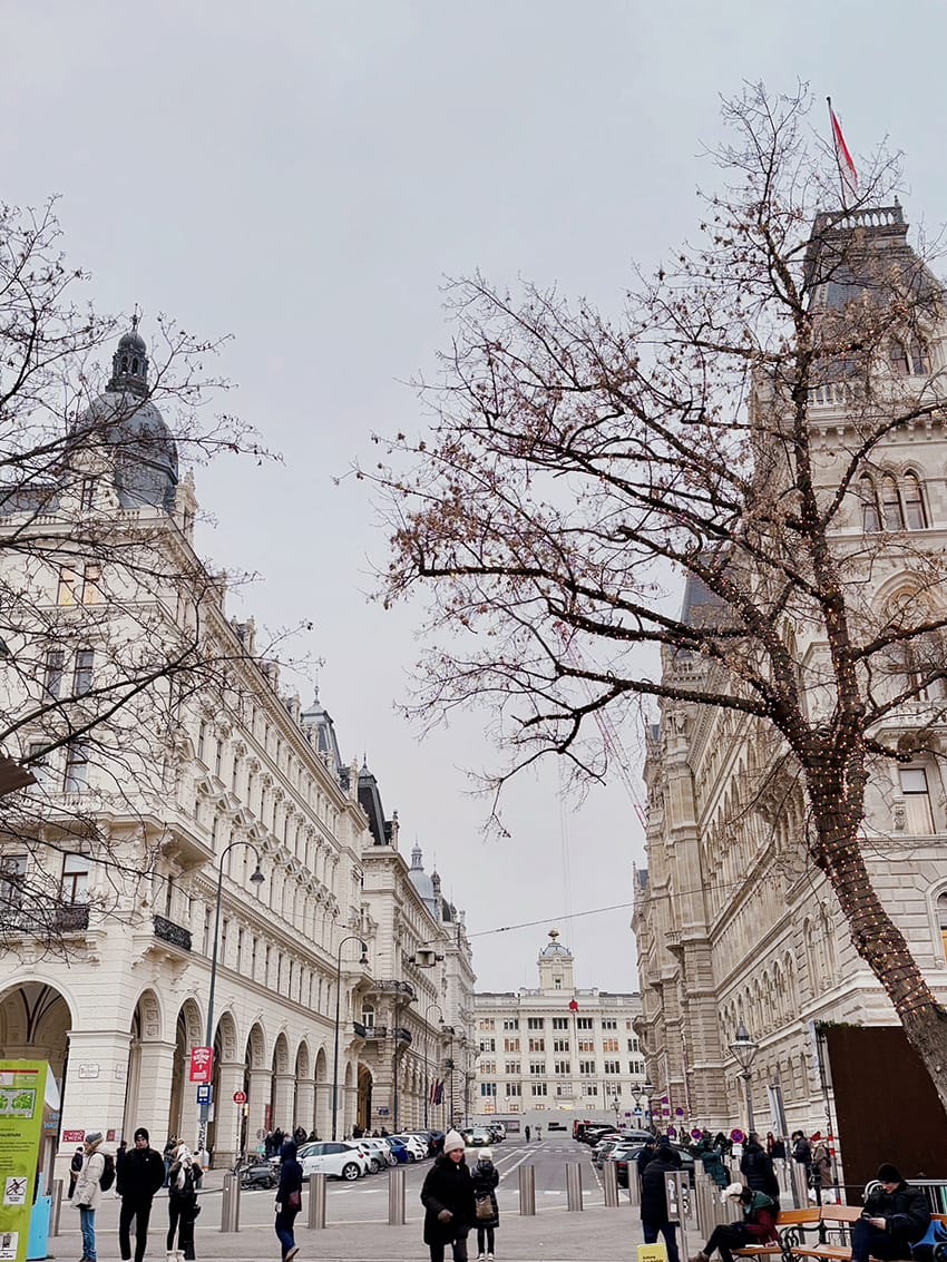 Vienna Vienna