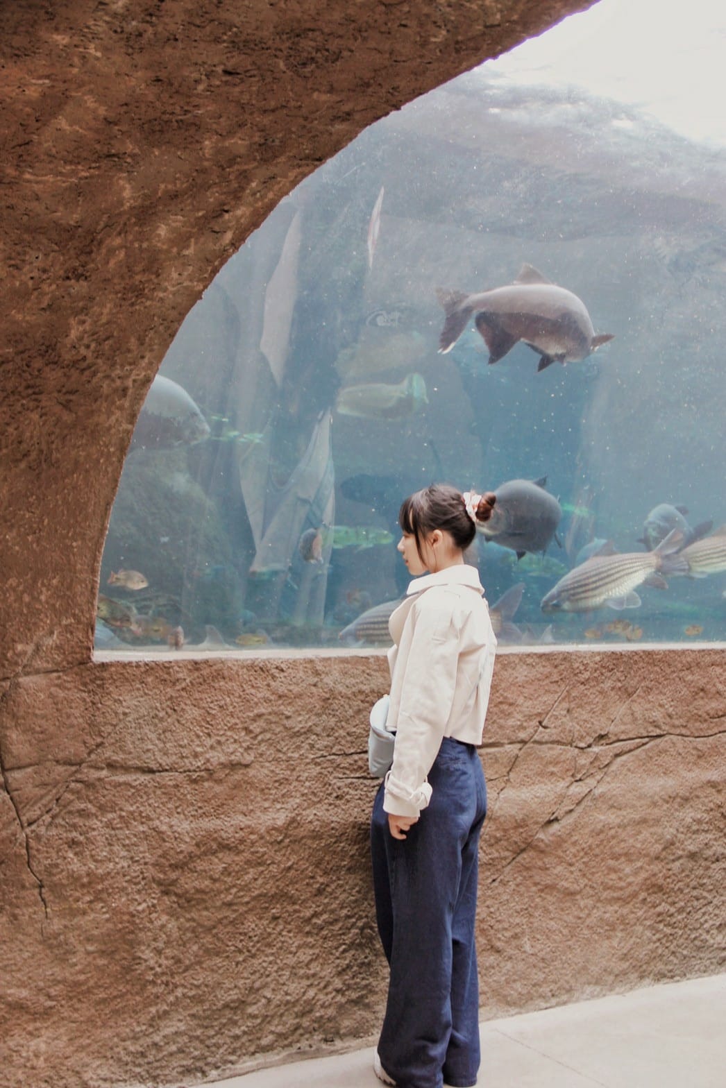 走一趟Taipei Zoo台北市立動物園，進入回春時光，必逛熱帶雨林館！