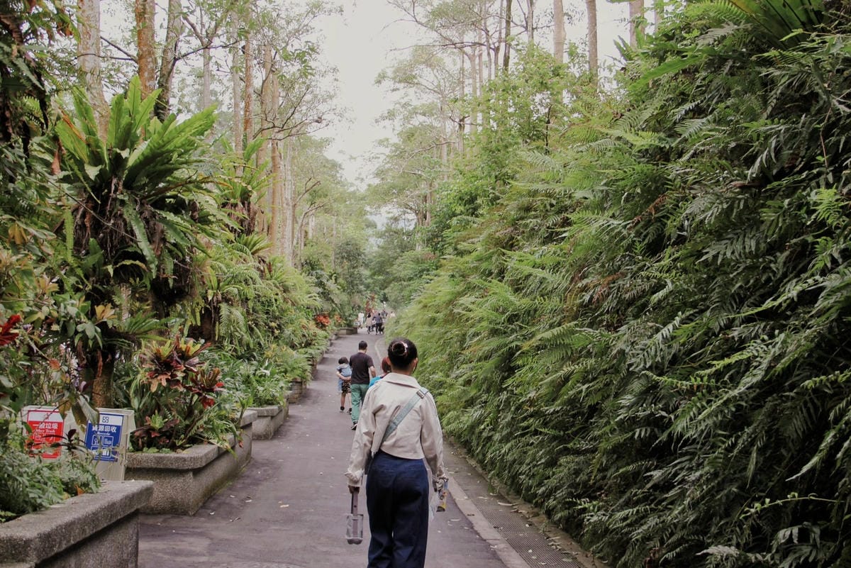 走一趟Taipei Zoo台北市立動物園，進入回春時光，必逛熱帶雨林館！