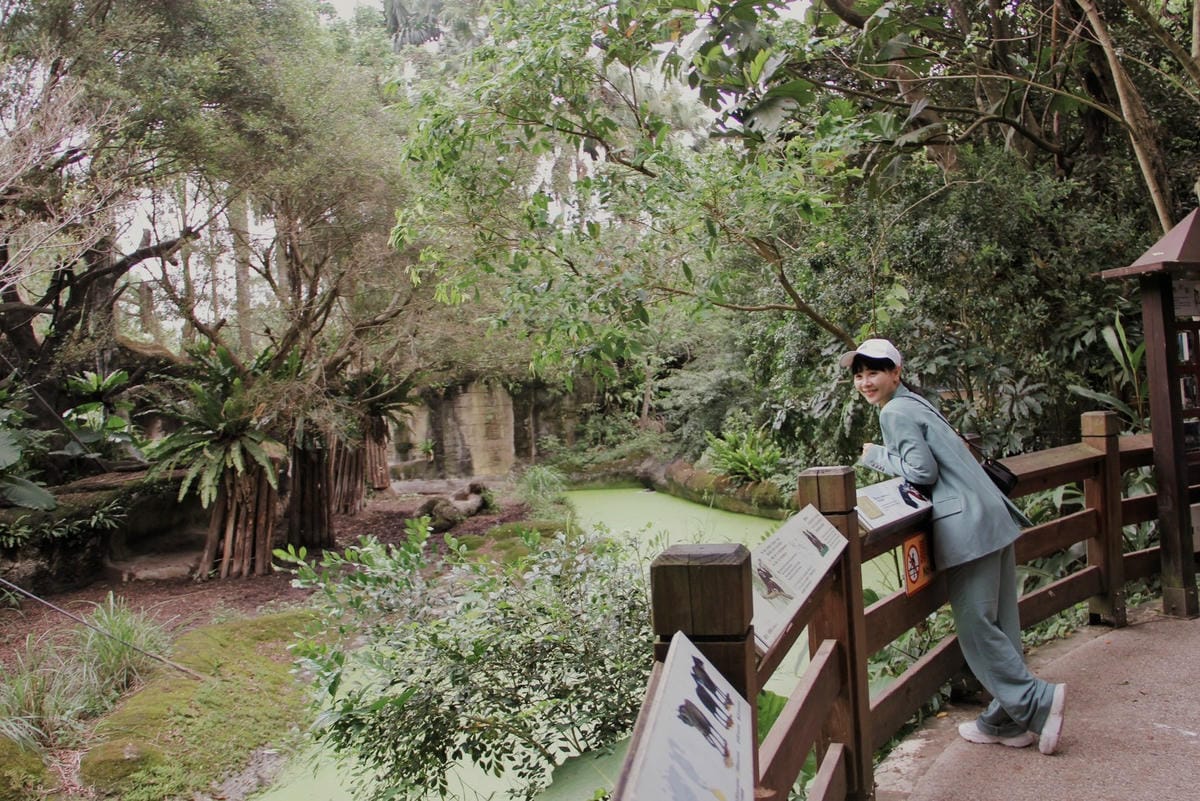 走一趟Taipei Zoo台北市立動物園，進入回春時光，必逛熱帶雨林館！