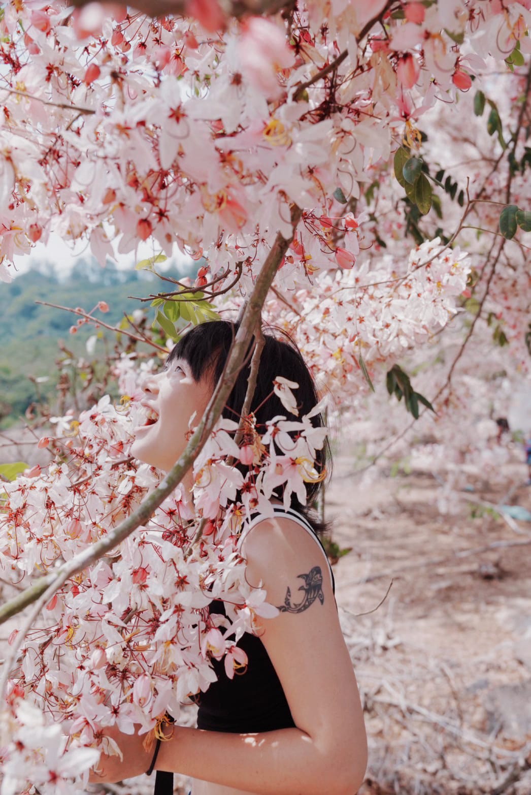 花旗木台南玥園思親步道19.JPG 花旗木台南玥園思親步道19.JPG