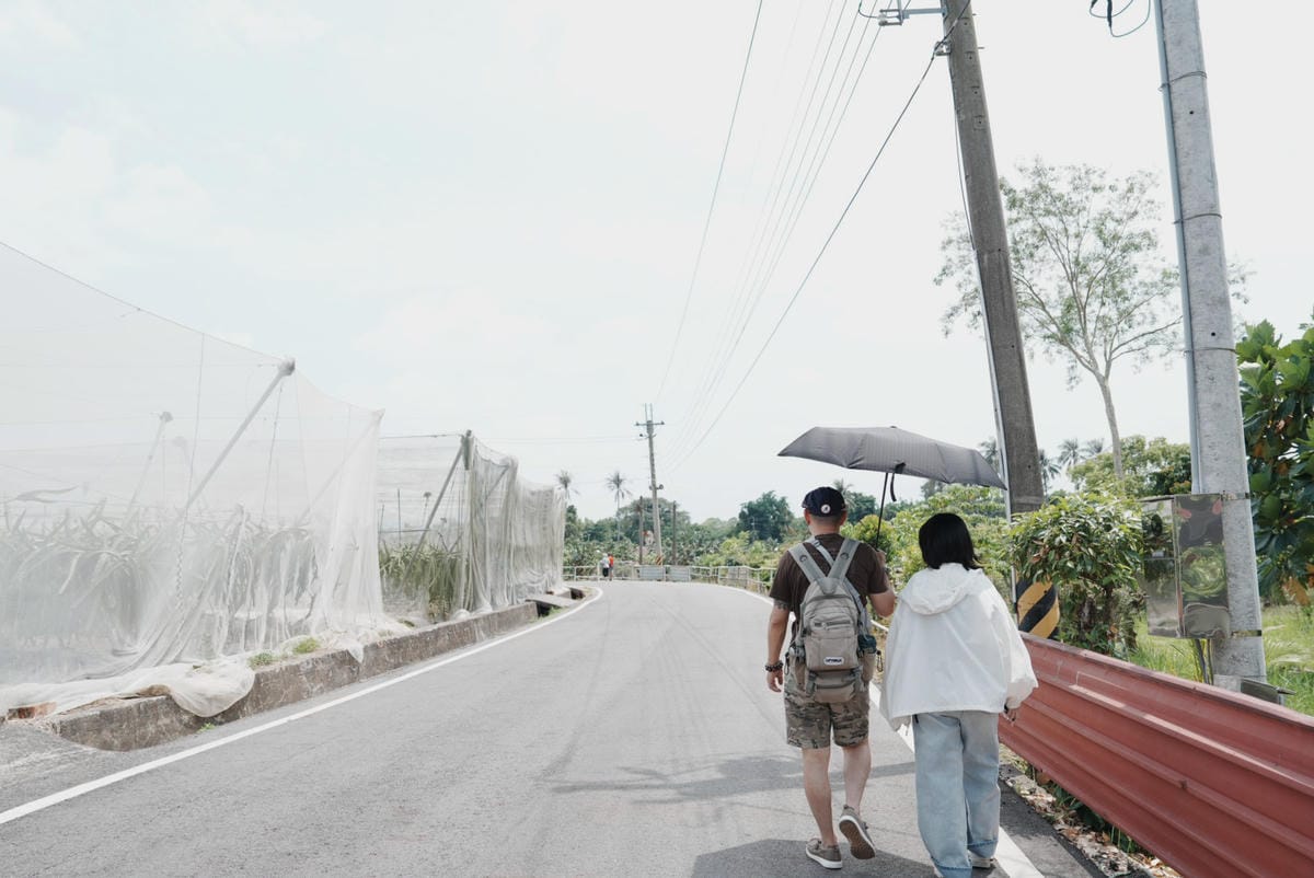 花旗木台南玥園思親步道4.JPG 花旗木台南玥園思親步道4.JPG