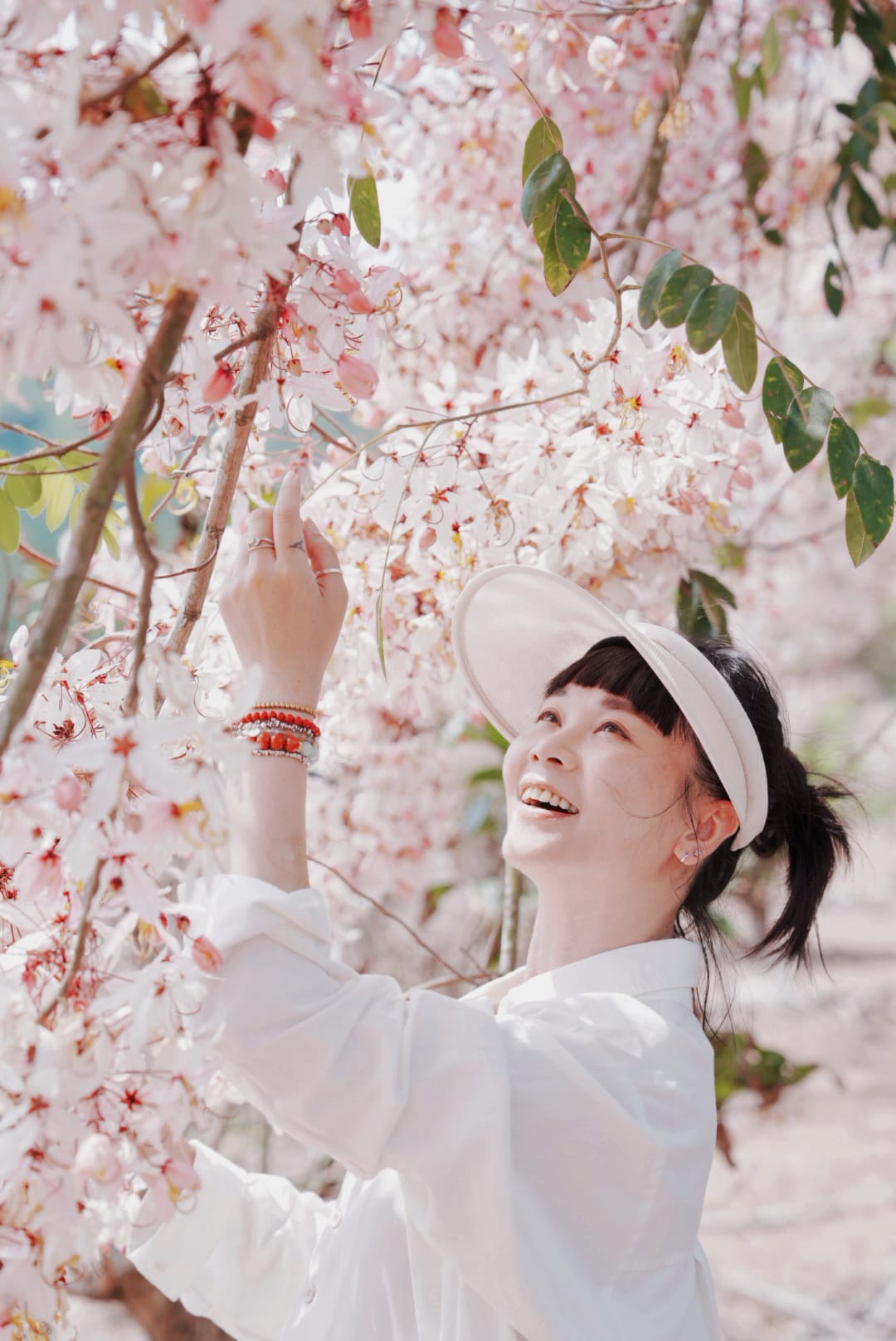 花旗木台南玥園思親步道24.JPG 花旗木台南玥園思親步道24.JPG