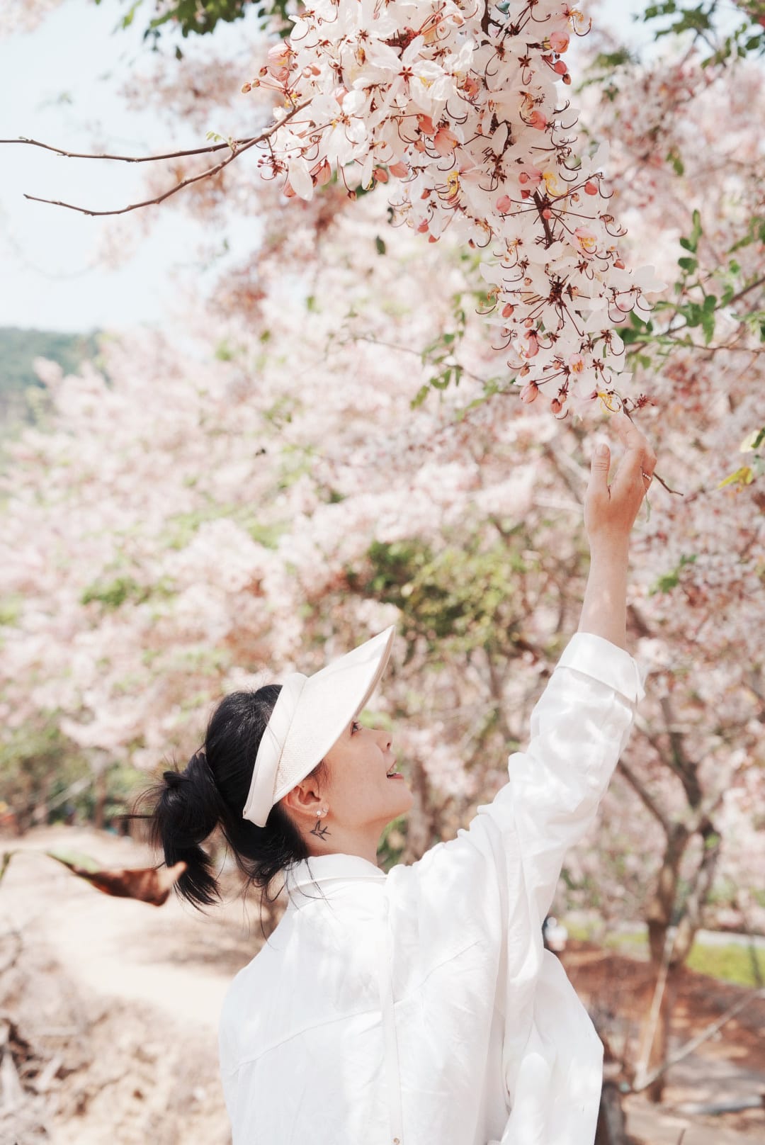 花旗木台南玥園思親步道31.JPG 花旗木台南玥園思親步道31.JPG