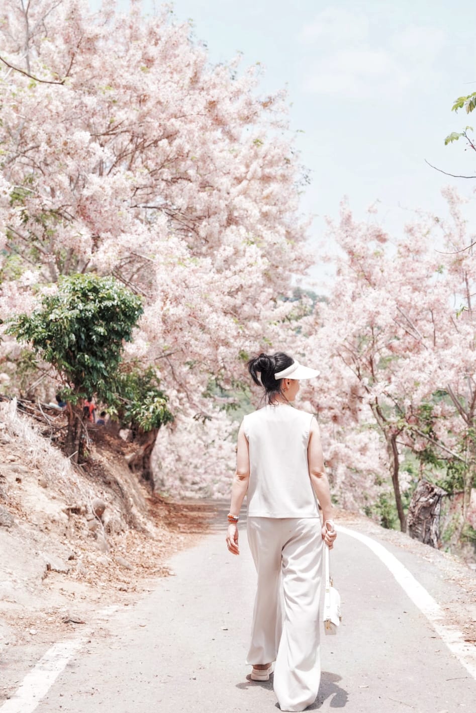 花旗木台南玥園思親步道51.JPG 花旗木台南玥園思親步道51.JPG