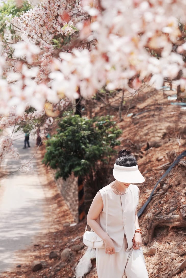 花旗木台南玥園思親步道32.JPG 花旗木台南玥園思親步道32.JPG
