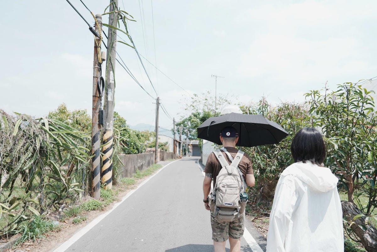 花旗木台南玥園思親步道5.JPG 花旗木台南玥園思親步道5.JPG