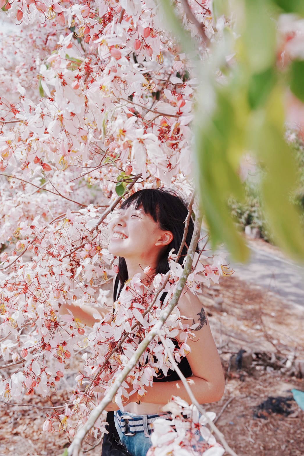 花旗木台南玥園思親步道18.JPG 花旗木台南玥園思親步道18.JPG