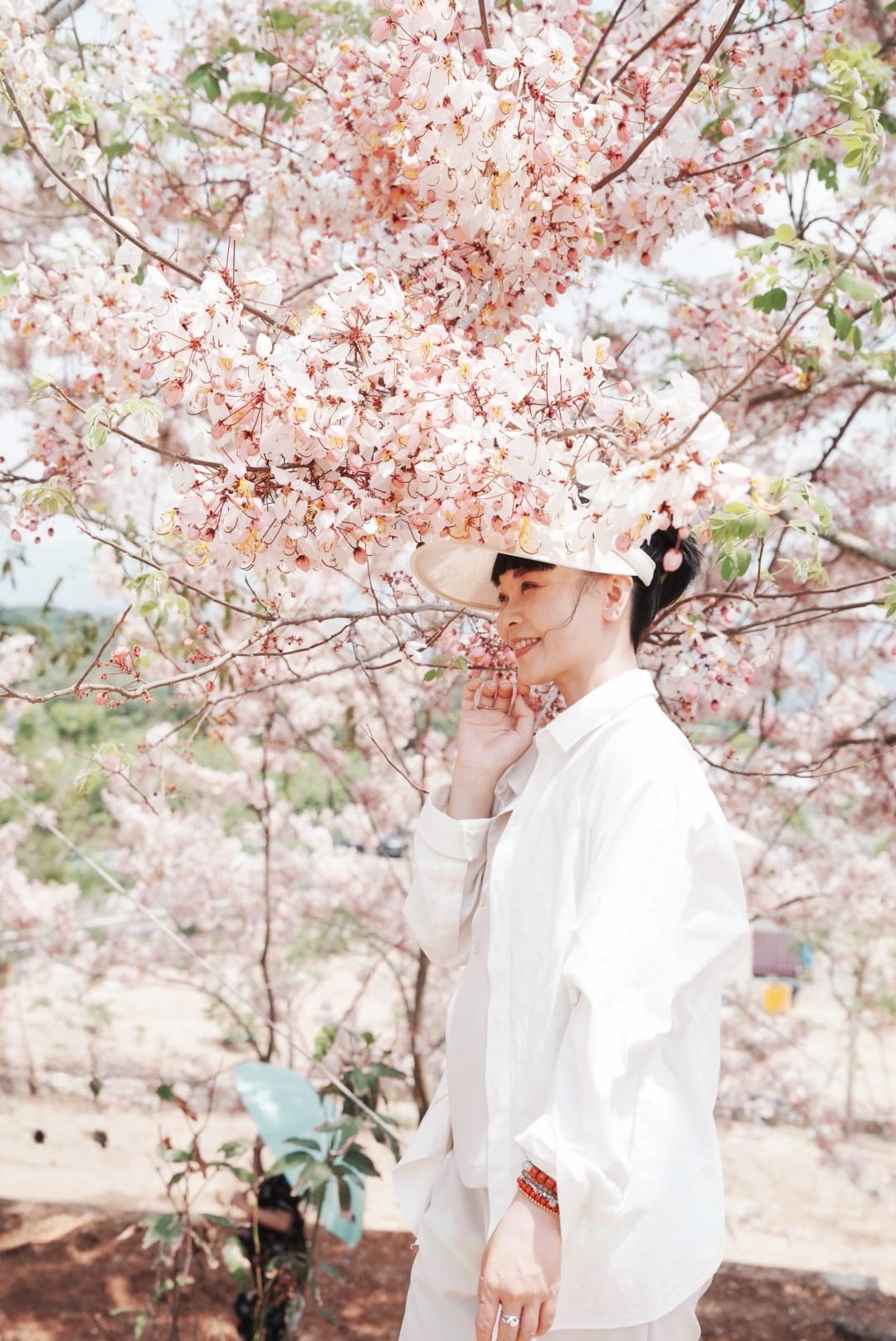 花旗木台南玥園思親步道26.JPG 花旗木台南玥園思親步道26.JPG